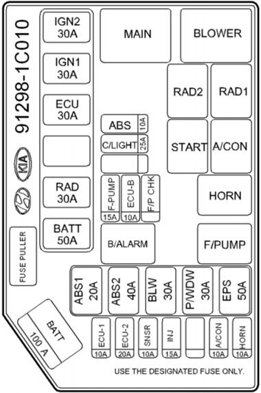 Under-hood fuse box diagram (Gasoline): Hyundai Getz (2006, 2007, 2008, 2009, 2010)