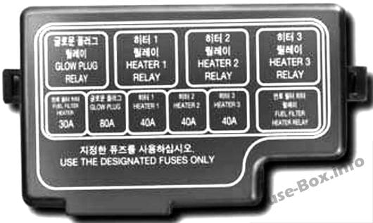 Sub-panel in the engine compartment (Diesel): KIA Sportage (2004, 2005, 2006, 2007, 2008, 2009, 2010)